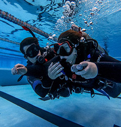 padi open water diver final exam answer key